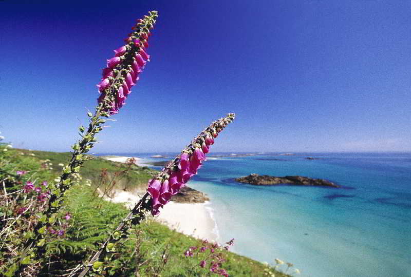 ホテル Herm Island White House