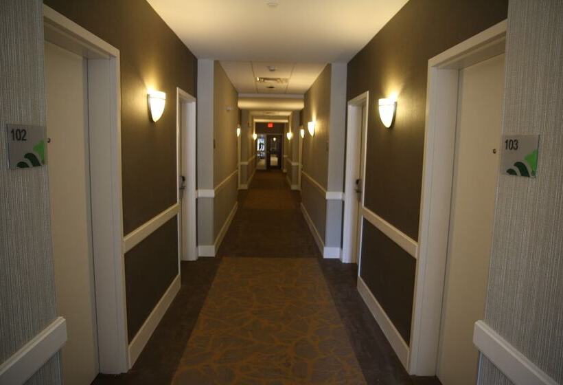 בית מלון כפרי Wingate By Wyndham Niagara Falls