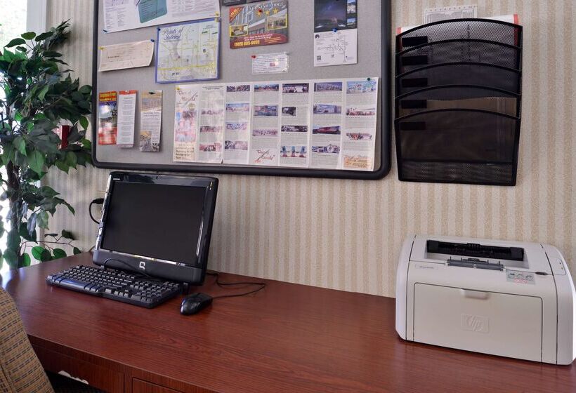 汽车旅馆  Starlight Inn Joshua Tree   29 Palms