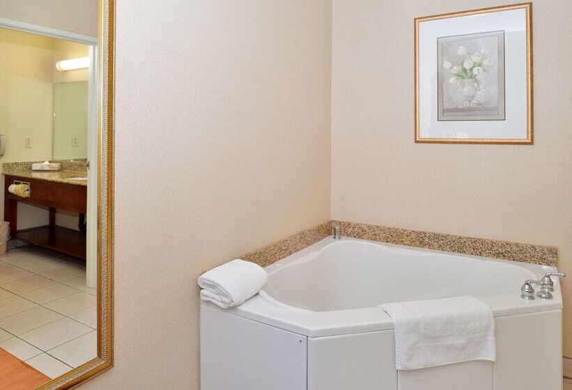 汽车旅馆  Starlight Inn Joshua Tree   29 Palms