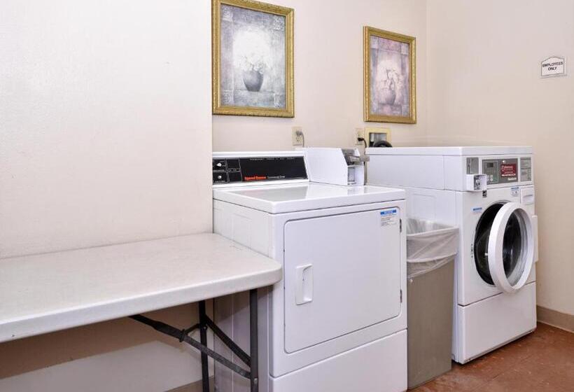 汽车旅馆  Starlight Inn Joshua Tree   29 Palms