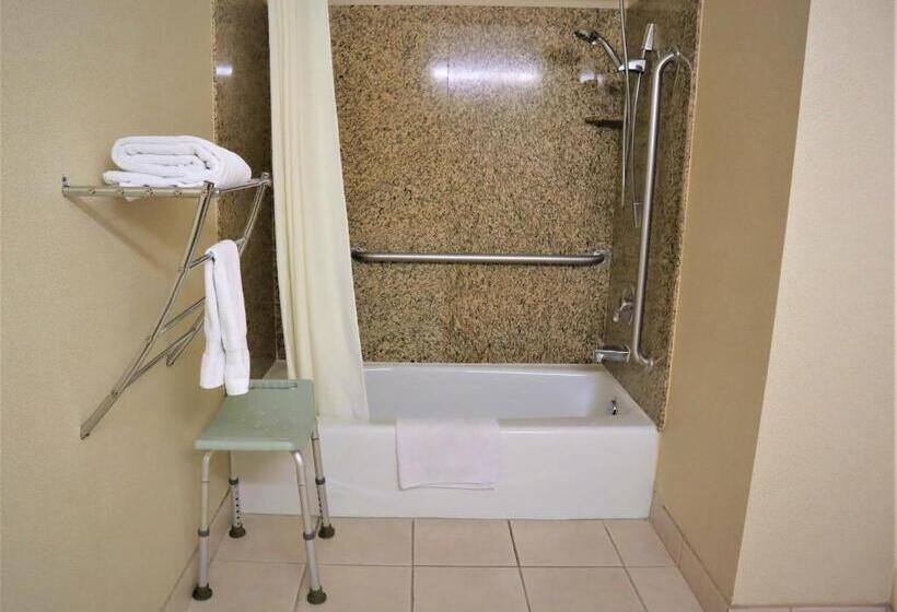 汽车旅馆  Starlight Inn Joshua Tree   29 Palms