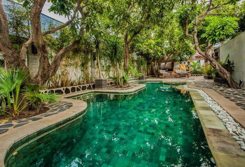 مُتل Scallywags Mango Retreat