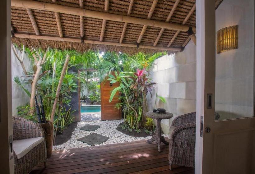 مُتل Scallywags Mango Retreat