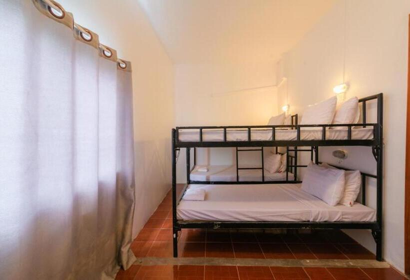 پانسیون Five Rose Siem Reap Hostel