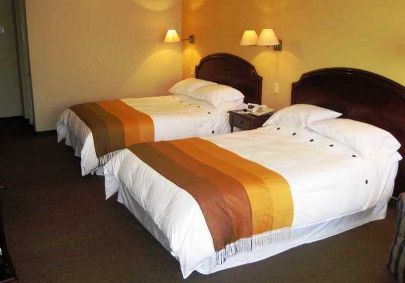 Suites Plaza Las Flores