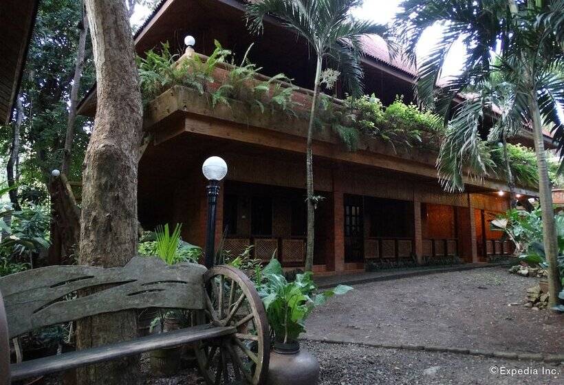 Alona Tropical Beach Resort