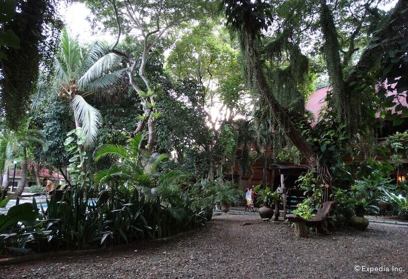 Alona Tropical Beach Resort