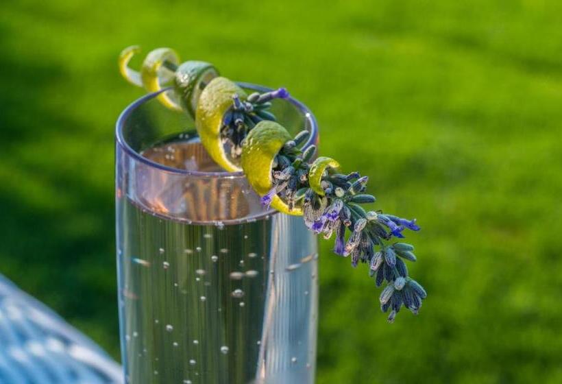 Avaton Luxury Beach Resort   Relais & Chateaux