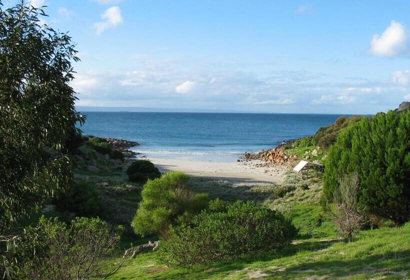 تختخواب و صبحانه Sea Dragon Kangaroo Island