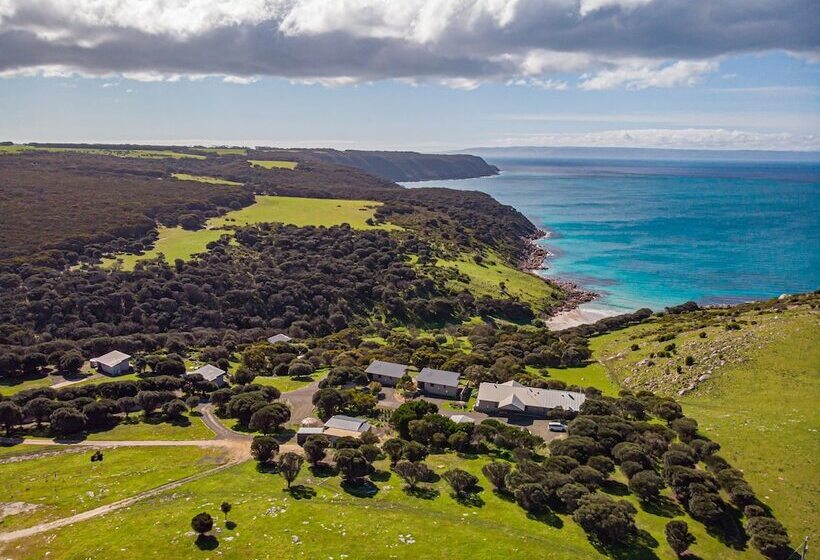 تختخواب و صبحانه Sea Dragon Kangaroo Island