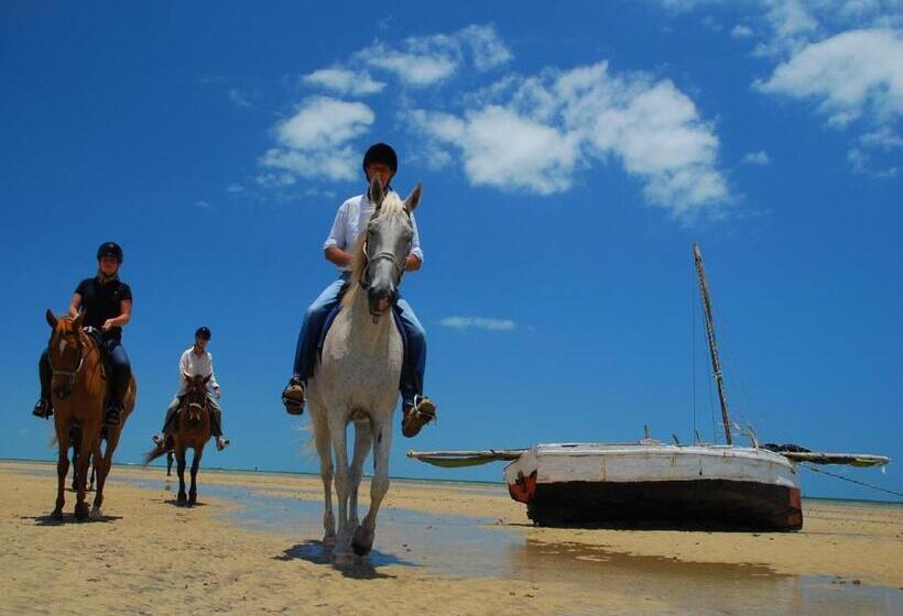 酒店 Bahia Mar Boutique