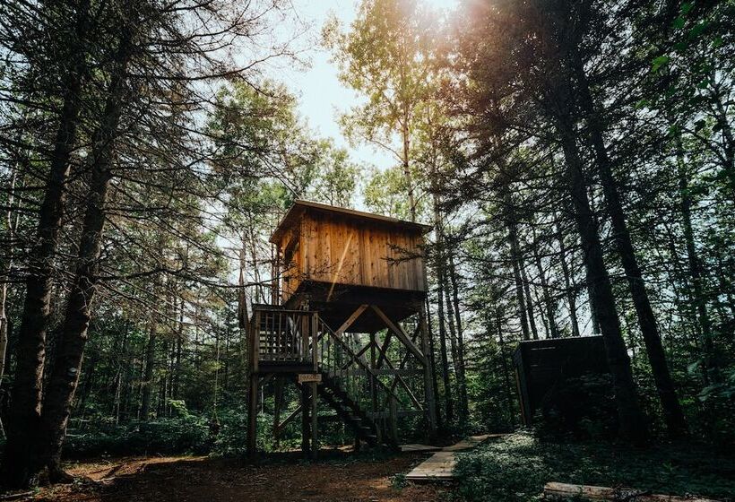 فندق Canopee Lit