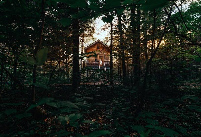 فندق Canopee Lit