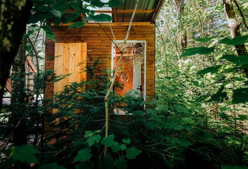 فندق Canopee Lit