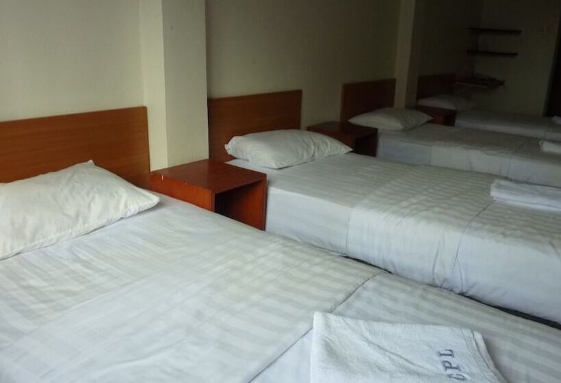 בית מלון כפרי City Park Lodge