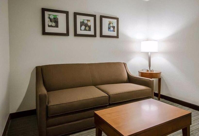 فندق Comfort Inn