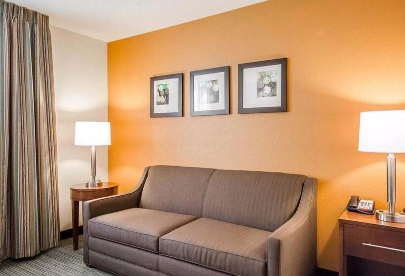 فندق Comfort Inn