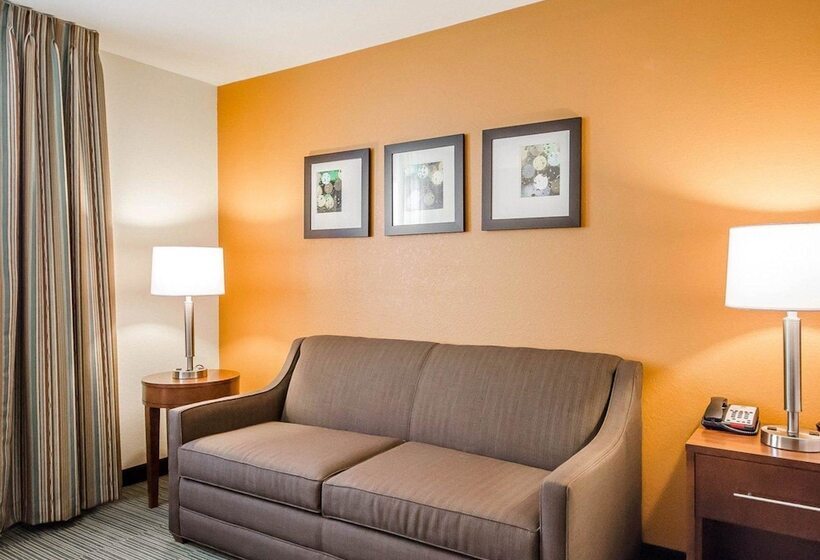 فندق Comfort Inn