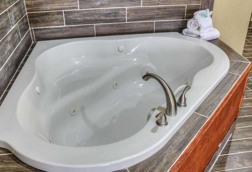 فندق Comfort Suites Plymouth Near Us 30