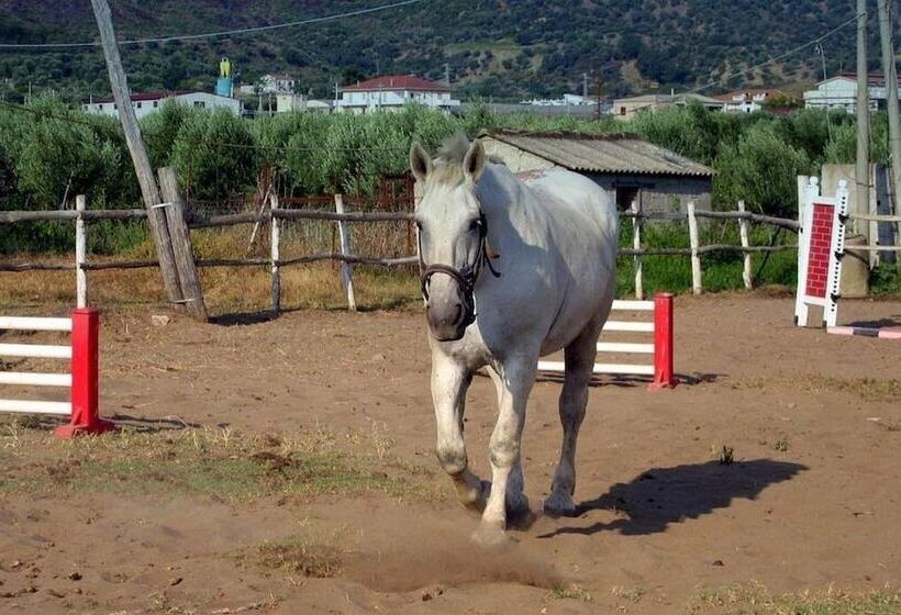 בית מלון כפרי Corte Dei Greci Resort & Spa