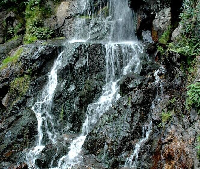 Отель Des Vosges