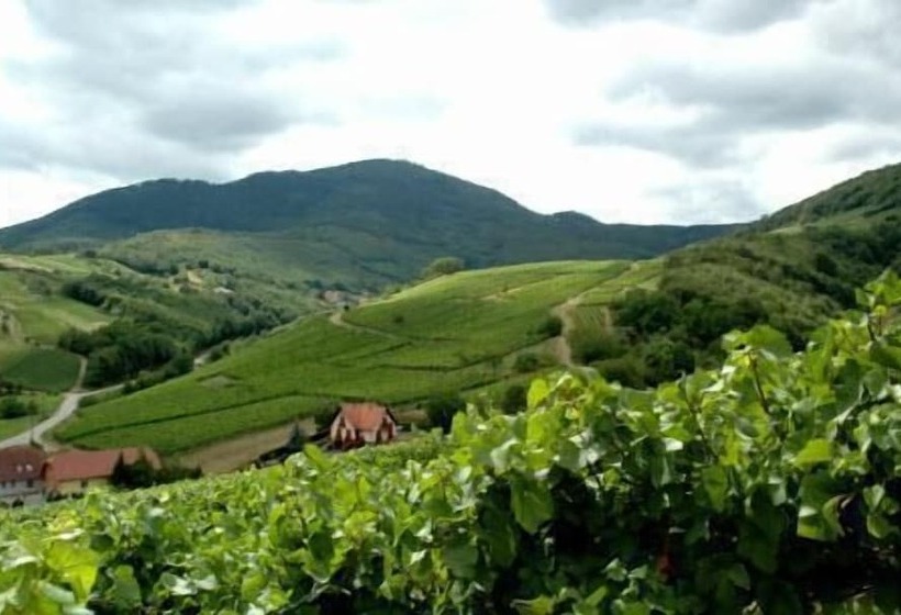 Отель Des Vosges