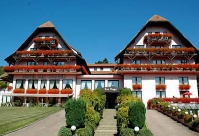 Отель Des Vosges