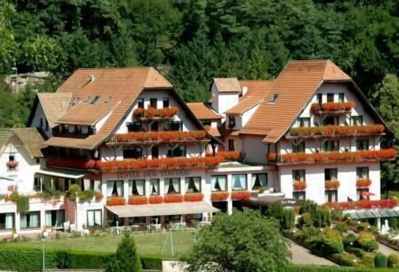 Отель Des Vosges