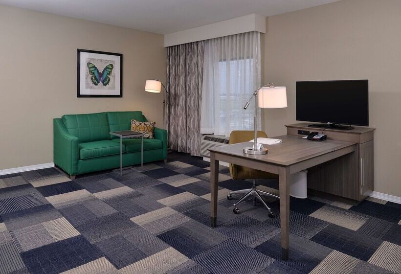 فندق Hampton Inn Broussardlafayette Area