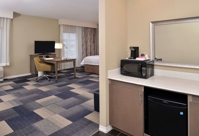 فندق Hampton Inn Broussardlafayette Area