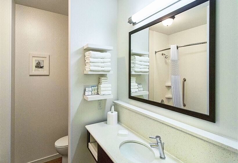 فندق Hampton Inn Hibbing