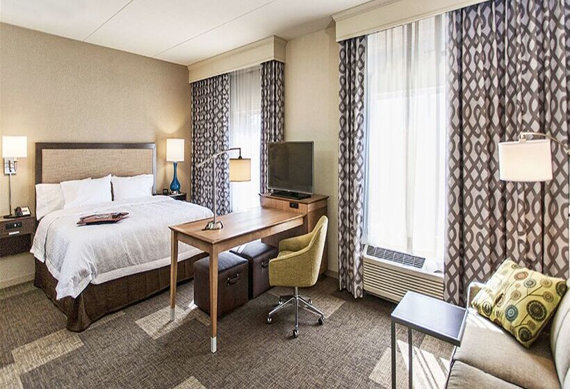 فندق Hampton Inn Hibbing
