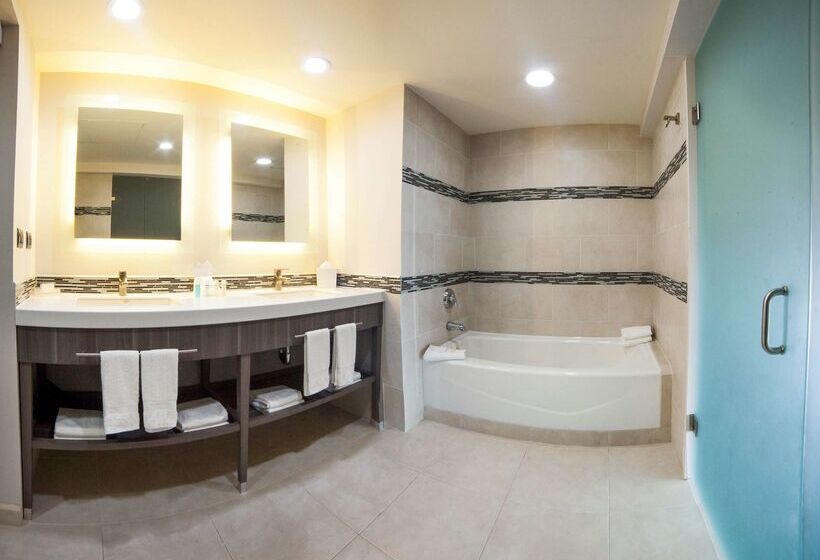 هتل Hampton Inn & Suites By Hilton Aguascalientes Airport