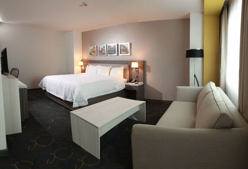 هتل Hampton Inn & Suites By Hilton Aguascalientes Airport