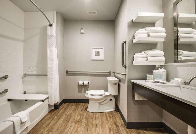 酒店 Hampton Inn & Suites Dallas/ft. Worth Airport South