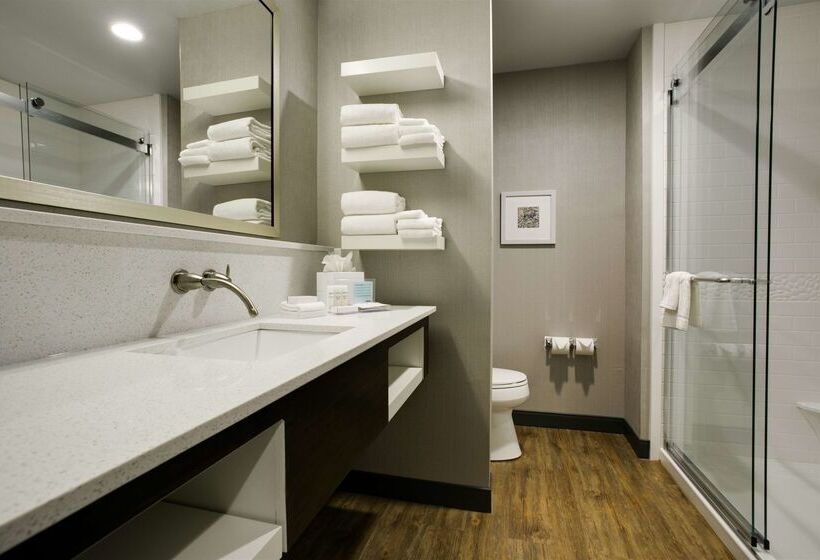 酒店 Hampton Inn & Suites Dallas/ft. Worth Airport South