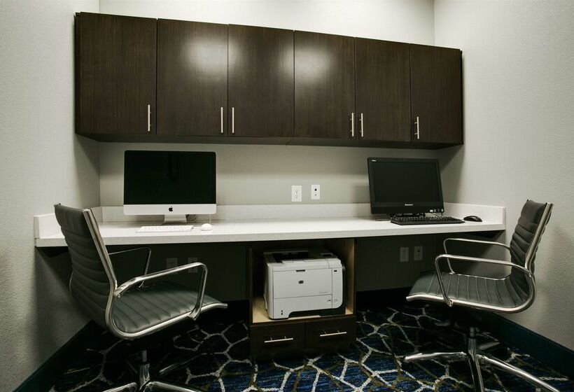 酒店 Hampton Inn & Suites Dallas/ft. Worth Airport South