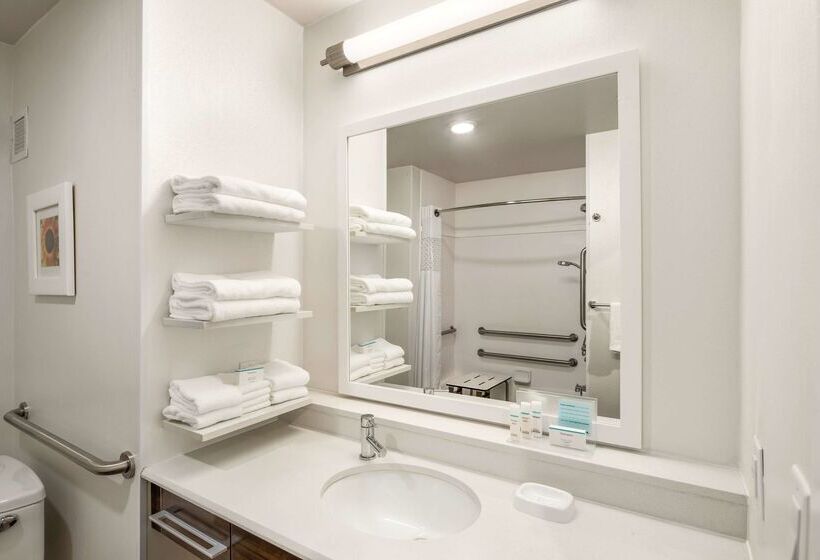 فندق Hampton Inn & Suites Lavonia