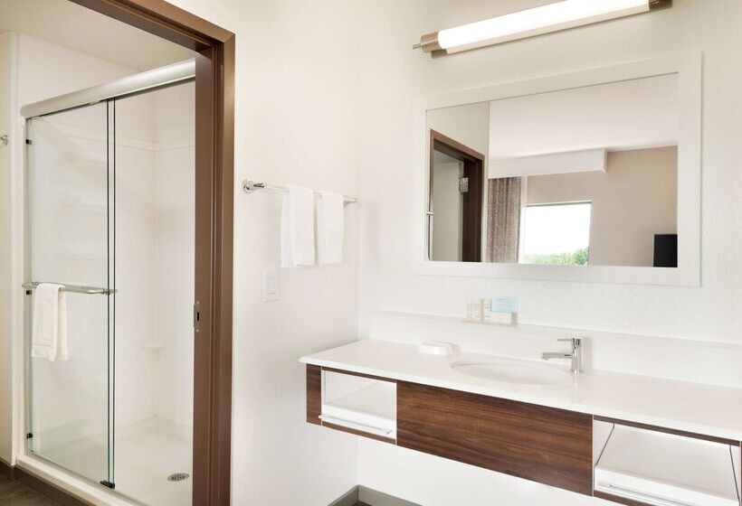 فندق Hampton Inn & Suites Lavonia