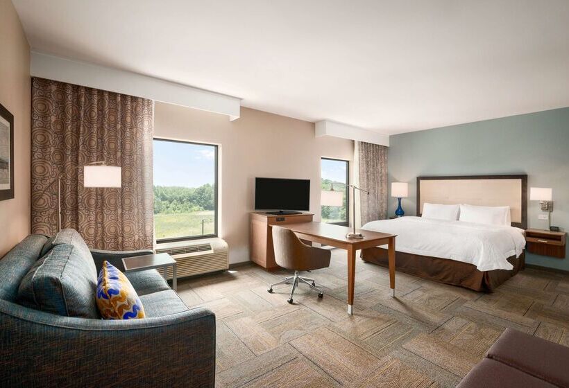 فندق Hampton Inn & Suites Lavonia