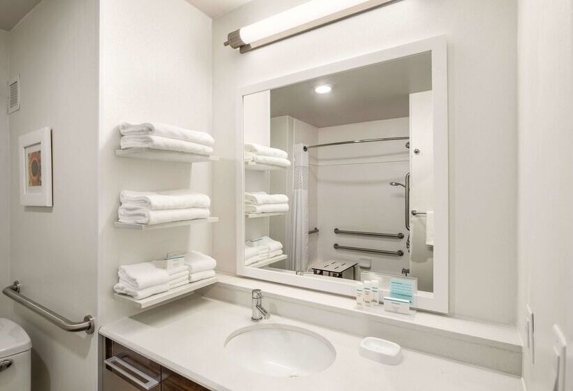 فندق Hampton Inn & Suites Lavonia