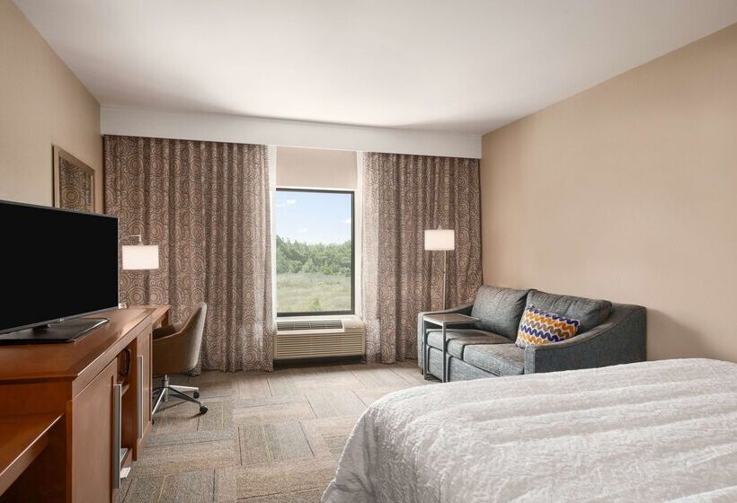 فندق Hampton Inn & Suites Lavonia