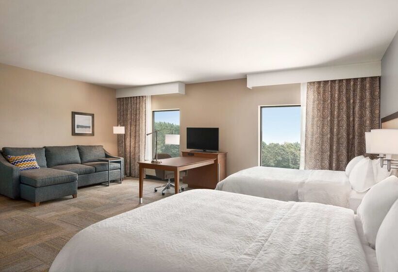 فندق Hampton Inn & Suites Lavonia