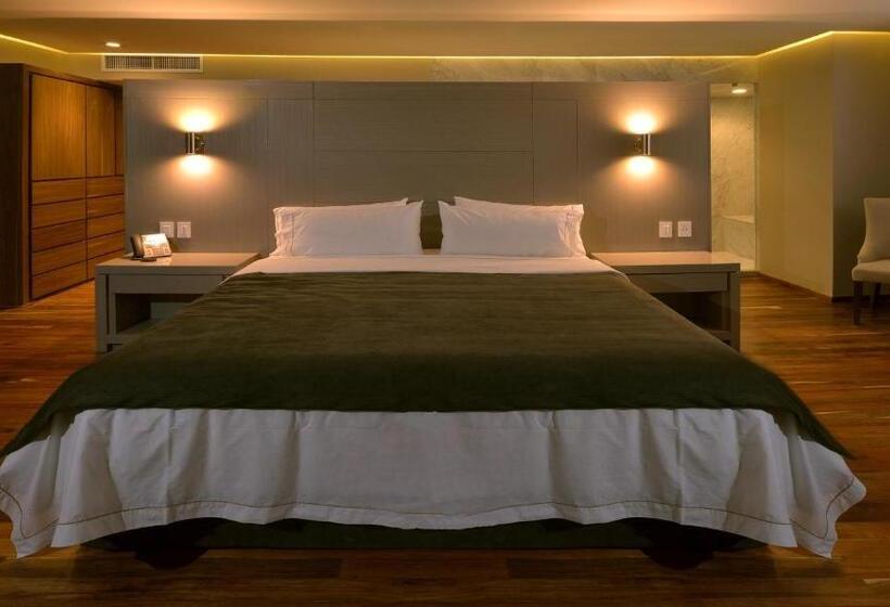 فندق Holiday Inn Express Pachuca, An Ihg