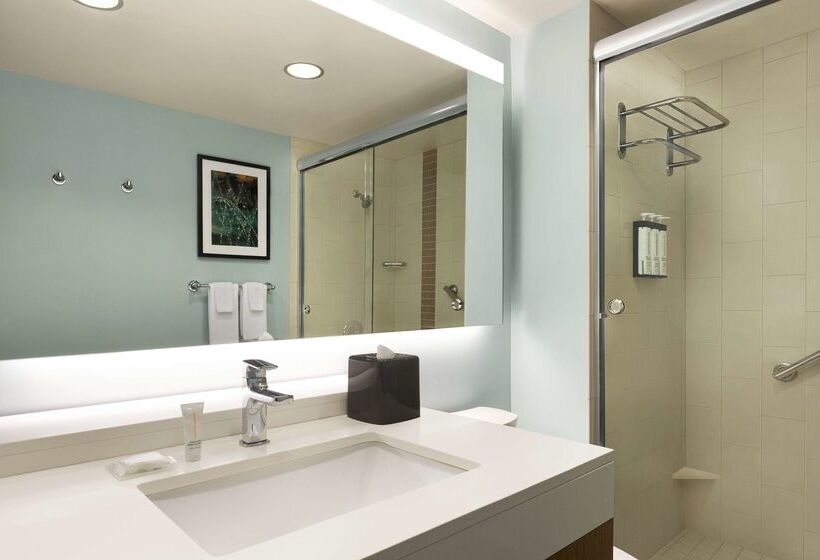 Отель Hyatt Place Columbia/downtown/the Vista