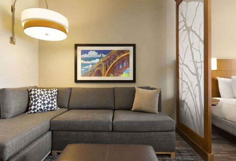Отель Hyatt Place Columbia/downtown/the Vista