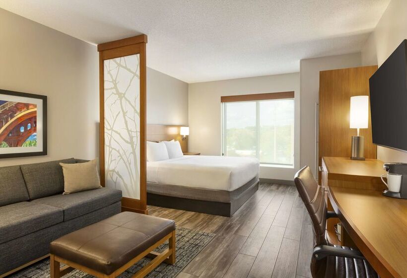 Отель Hyatt Place Columbia/downtown/the Vista