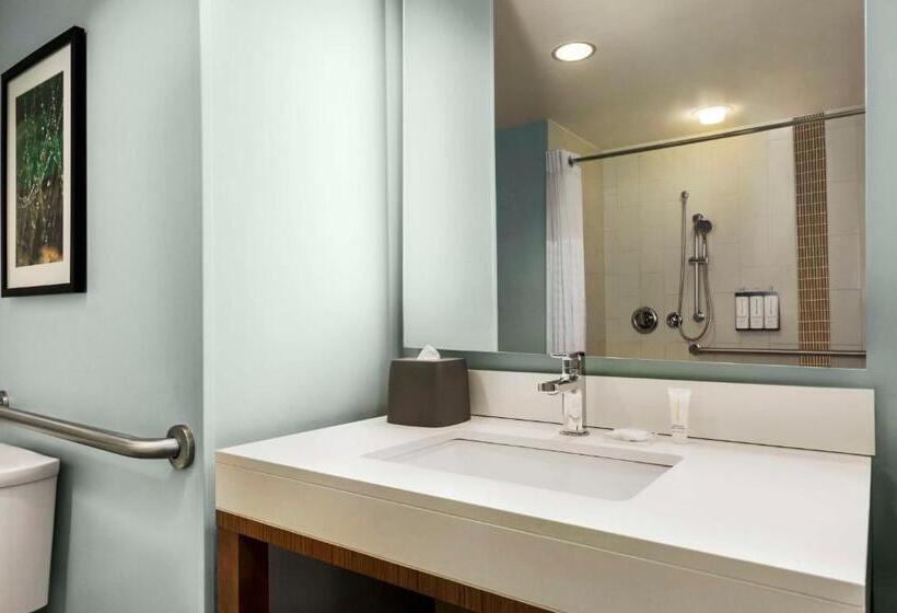 Отель Hyatt Place Columbia/downtown/the Vista