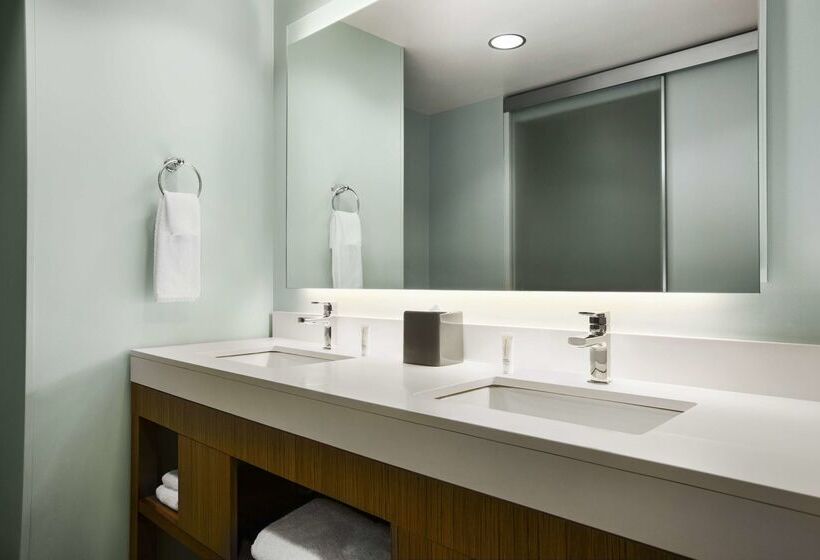 Отель Hyatt Place Columbia/downtown/the Vista